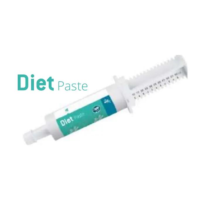 Diet Paste