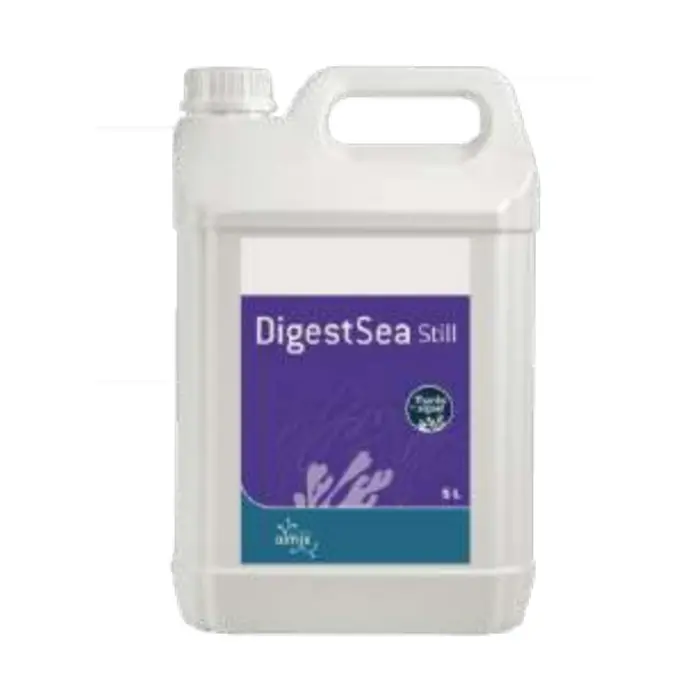 Digestsea Still